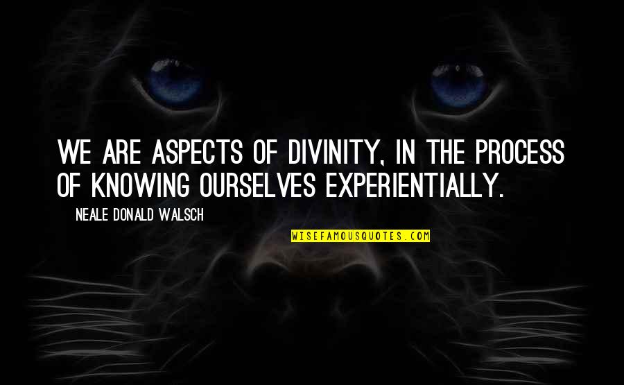 Knowing Ourselves Quotes By Neale Donald Walsch: We are aspects of Divinity, in the process