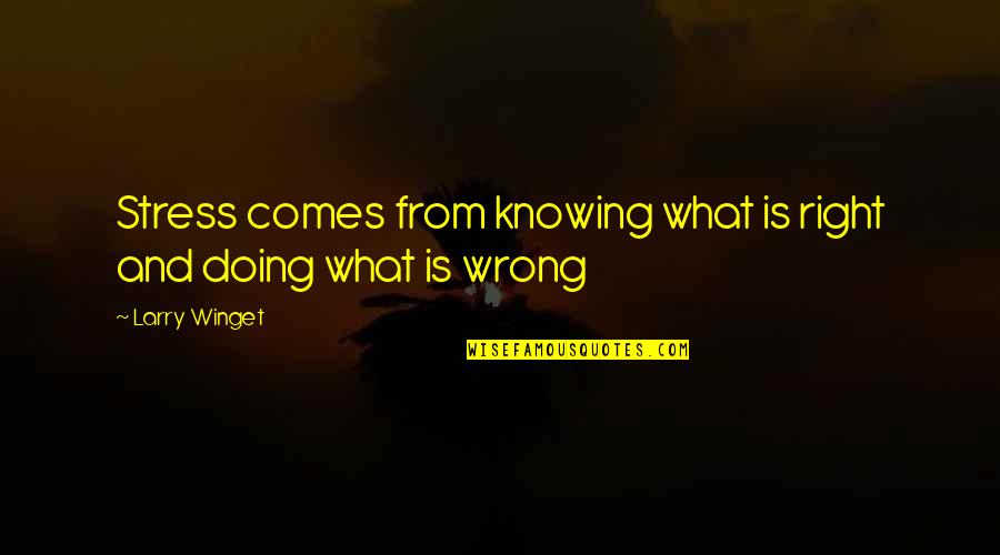 Knowing Right And Wrong Quotes By Larry Winget: Stress comes from knowing what is right and