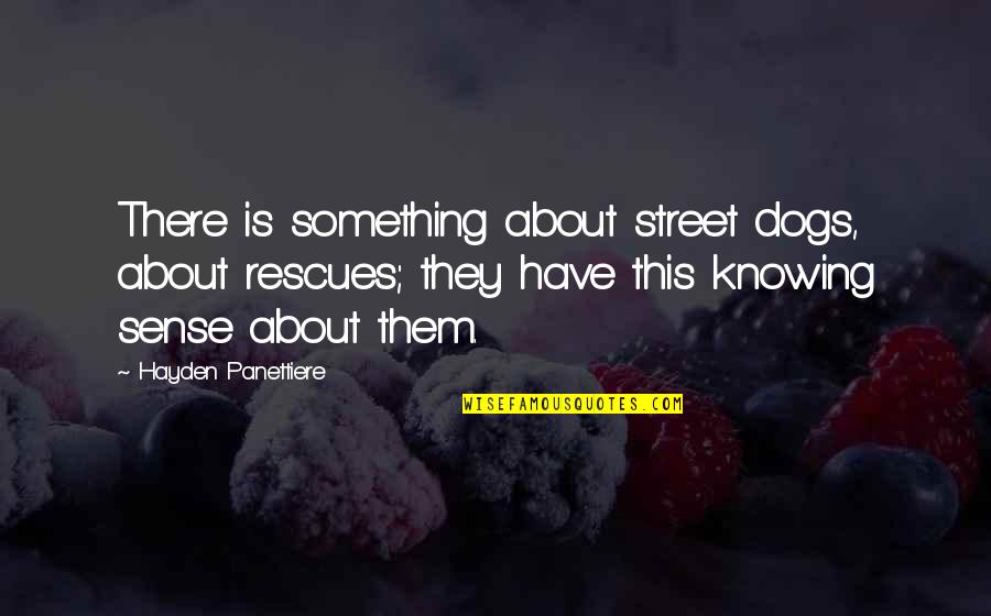 Knowing Something Quotes By Hayden Panettiere: There is something about street dogs, about rescues;