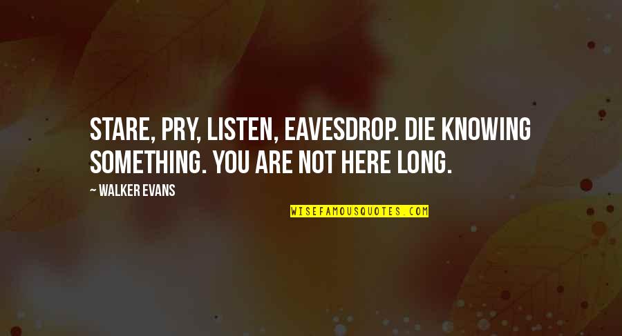 Knowing Something Quotes By Walker Evans: Stare, pry, listen, eavesdrop. Die knowing something. You