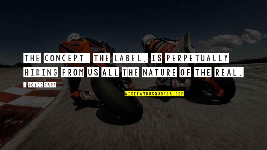 Knowing The Real You Quotes By Joyce Cary: The concept, the label, is perpetually hiding from