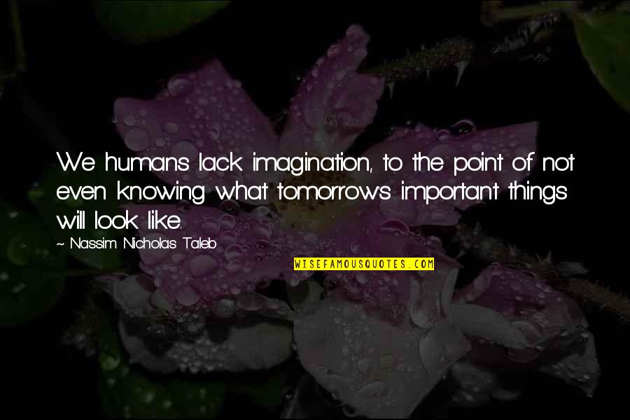 Knowing Things Quotes By Nassim Nicholas Taleb: We humans lack imagination, to the point of