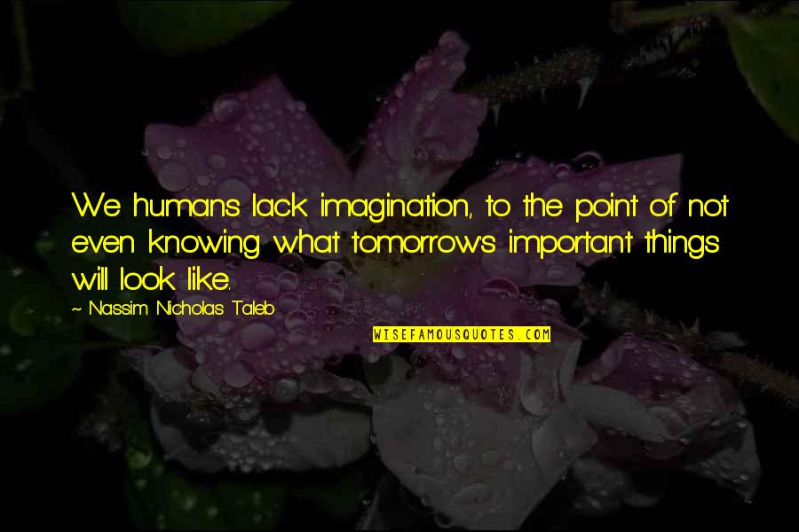 Knowing Things Will Be Ok Quotes By Nassim Nicholas Taleb: We humans lack imagination, to the point of