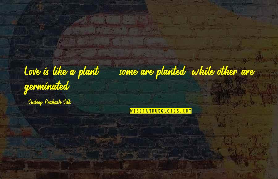 Knowing What You Want In Life Quotes By Sudeep Prakash Sdk: Love is like a plant ... ; some Knowing What You Want In Life Quotes By Sudeep Prakash Sdk: Love is like a plant ... ; some