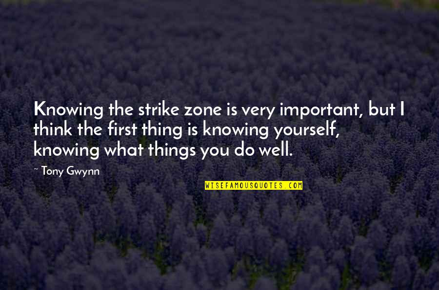 Knowing What's Best For Yourself Quotes By Tony Gwynn: Knowing the strike zone is very important, but