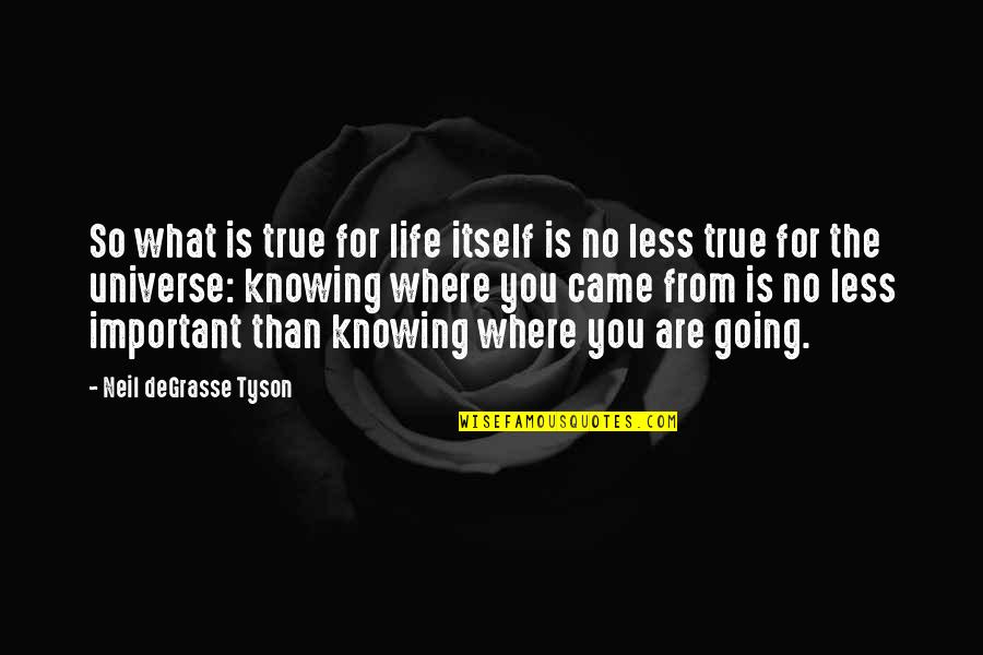 Knowing What's Important In Life Quotes By Neil DeGrasse Tyson: So what is true for life itself is