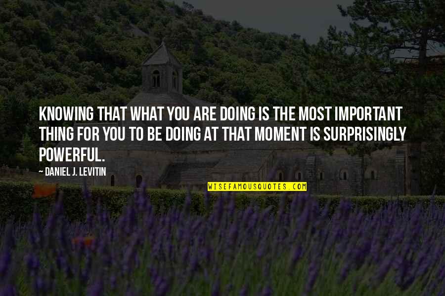 Knowing What's Important Quotes By Daniel J. Levitin: Knowing that what you are doing is the