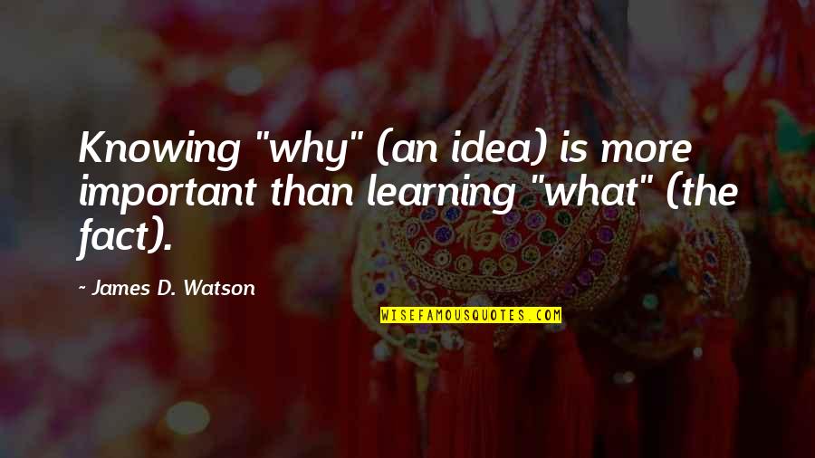 Knowing What's Important Quotes By James D. Watson: Knowing "why" (an idea) is more important than