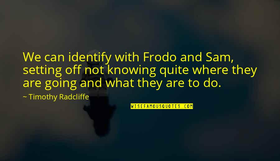 Knowing Where You Are Going Quotes By Timothy Radcliffe: We can identify with Frodo and Sam, setting