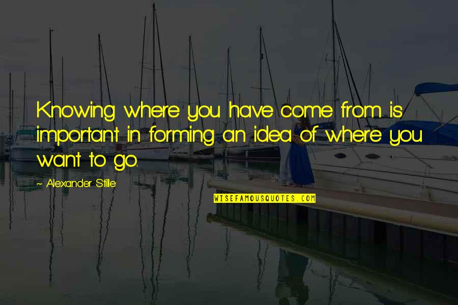 Knowing Where You Come From Quotes By Alexander Stille: Knowing where you have come from is important