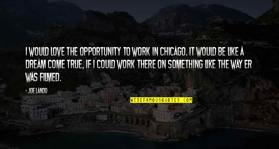 Knowing Where You Come From Quotes By Joe Lando: I would love the opportunity to work in