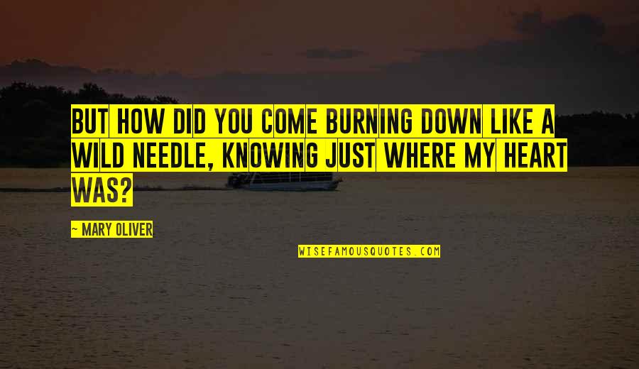 Knowing Where You Come From Quotes By Mary Oliver: But how did you come burning down like