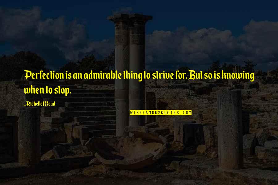 Knowing You Is The Best Thing Ever Quotes By Richelle Mead: Perfection is an admirable thing to strive for.