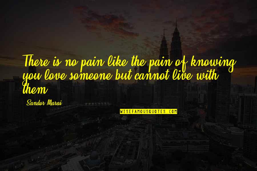 Knowing You Love Someone Quotes By Sandor Marai: There is no pain like the pain of