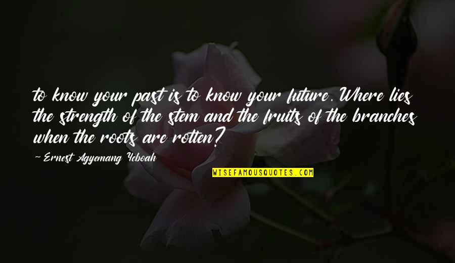 Knowing Your Future Quotes By Ernest Agyemang Yeboah: to know your past is to know your