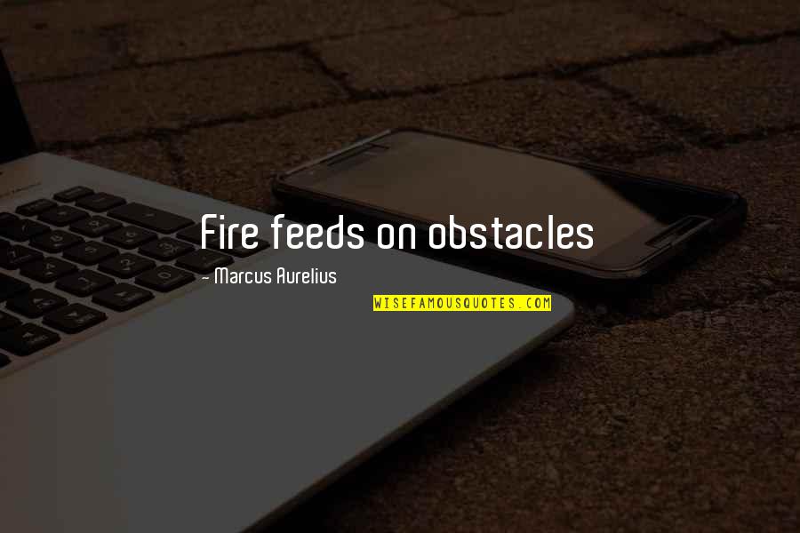 Knowing Your Values Quotes By Marcus Aurelius: Fire feeds on obstacles