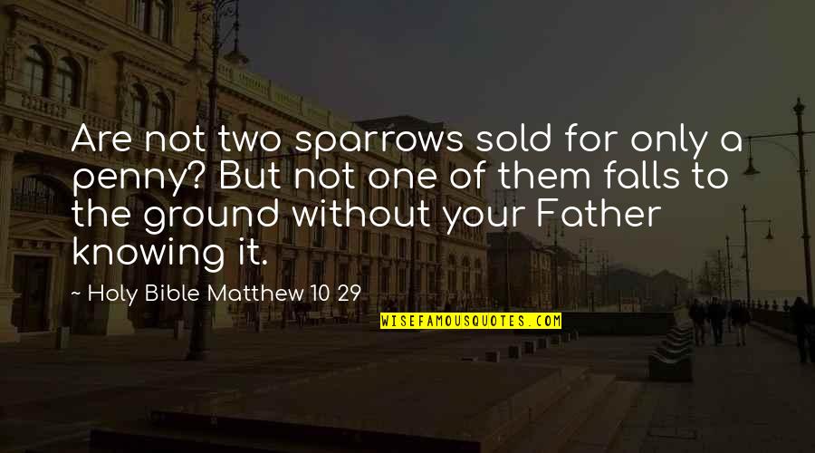 Knowing Your With The One You Love Quotes By Holy Bible Matthew 10 29: Are not two sparrows sold for only a