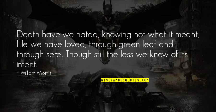 Knowing You're Loved Quotes By William Morris: Death have we hated, knowing not what it