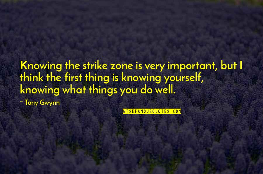 Knowing Yourself First Quotes By Tony Gwynn: Knowing the strike zone is very important, but