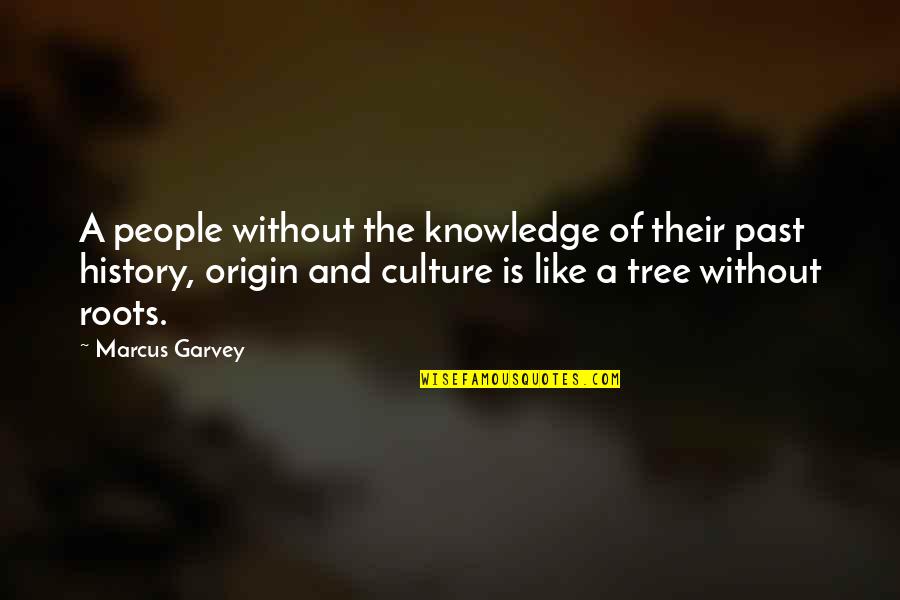 Knowledge And Culture Quotes By Marcus Garvey: A people without the knowledge of their past