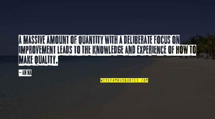 Knowledge And Experience Quotes By An Na: A massive amount of quantity with a deliberate