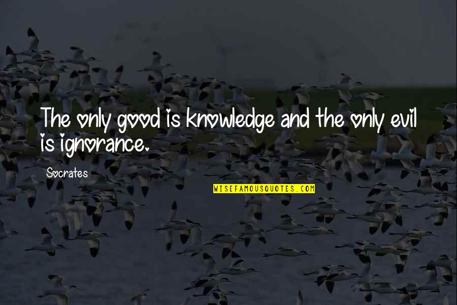 Knowledge And Ignorance Quotes By Socrates: The only good is knowledge and the only