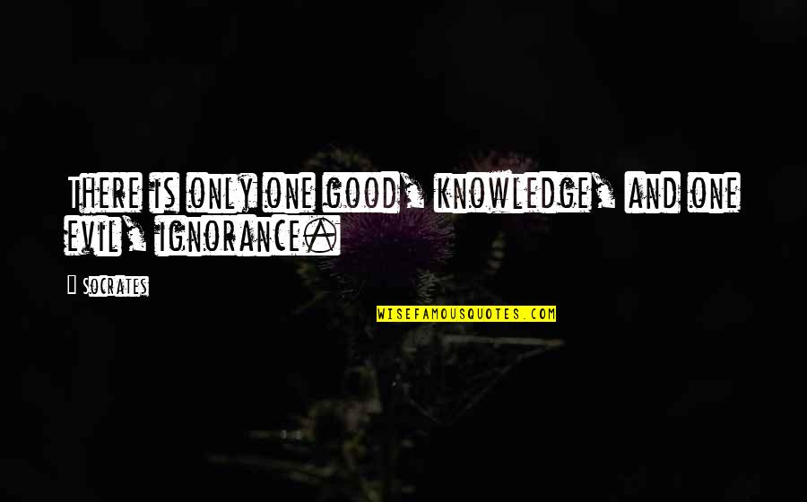 Knowledge And Ignorance Quotes By Socrates: There is only one good, knowledge, and one