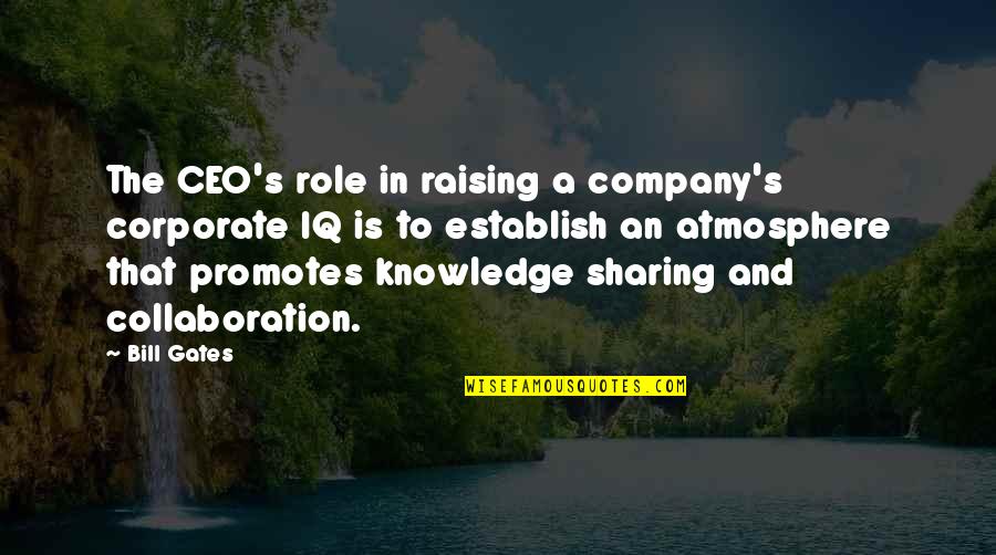 Knowledge And Sharing Quotes By Bill Gates: The CEO's role in raising a company's corporate