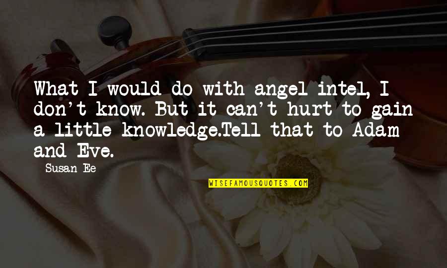 Knowledge Gain Quotes By Susan Ee: What I would do with angel intel, I