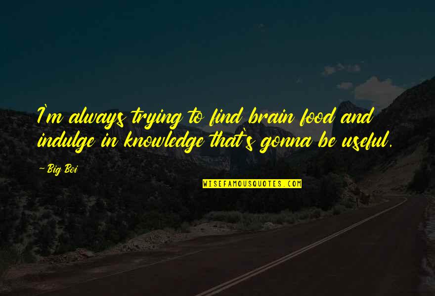 Knowledge Is Food Quotes By Big Boi: I'm always trying to find brain food and