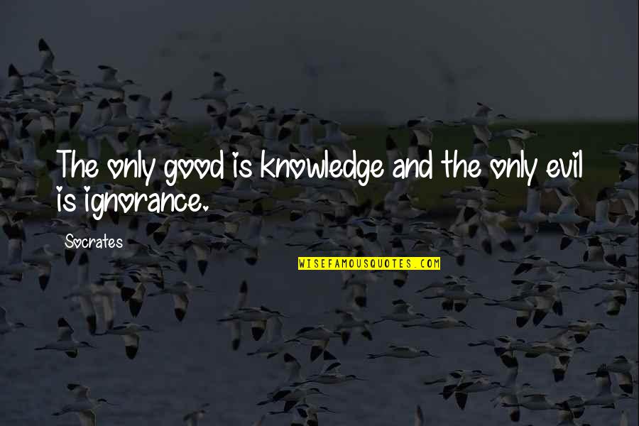Knowledge Is Good Quotes By Socrates: The only good is knowledge and the only