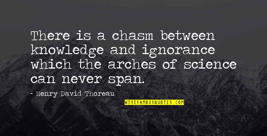 Knowledge Is Ignorance Quotes By Henry David Thoreau: There is a chasm between knowledge and ignorance