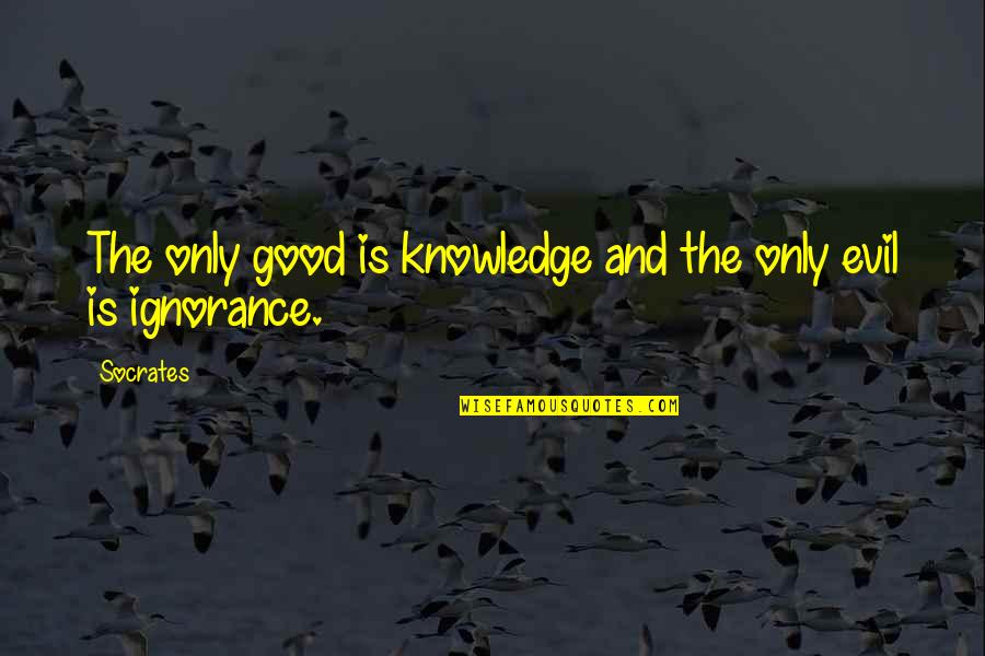 Knowledge Is Ignorance Quotes By Socrates: The only good is knowledge and the only