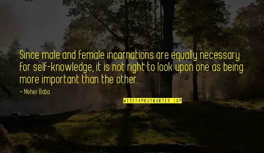Knowledge Is Important Quotes By Meher Baba: Since male and female incarnations are equally necessary