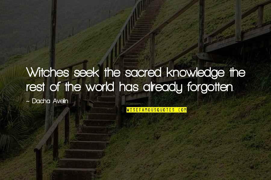 Knowledge Of The World Quotes By Dacha Avelin: Witches seek the sacred knowledge the rest of