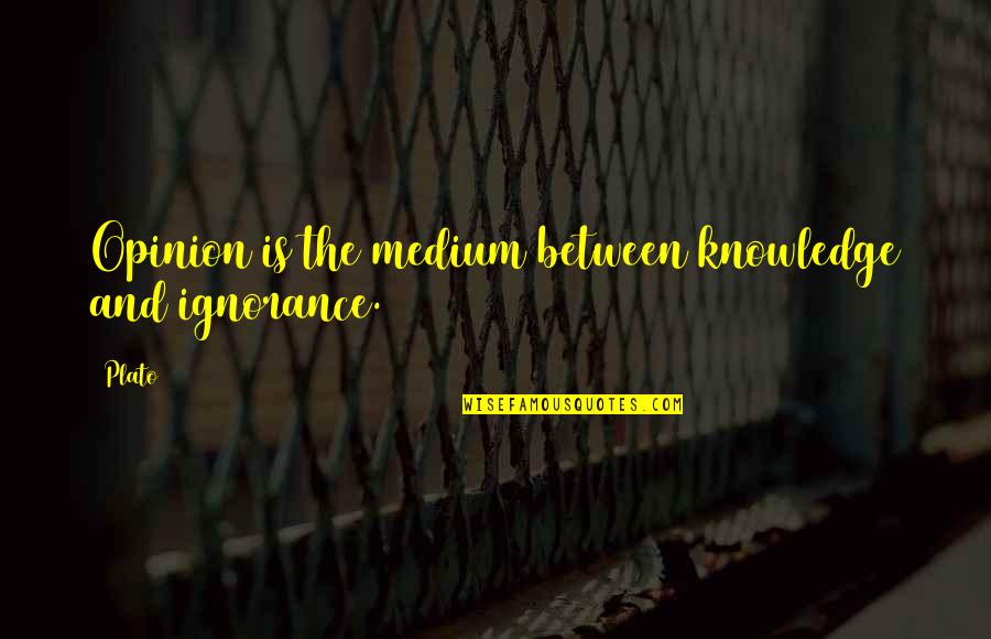 Knowledge Vs Ignorance Quotes By Plato: Opinion is the medium between knowledge and ignorance.