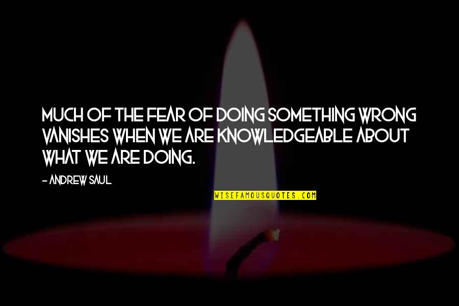 Knowledgeable Quotes By Andrew Saul: Much of the fear of doing something wrong