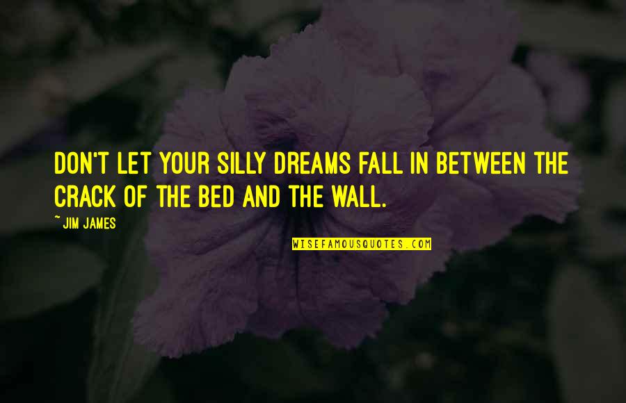 Knowledgeis Quotes By Jim James: Don't let your silly dreams fall in between