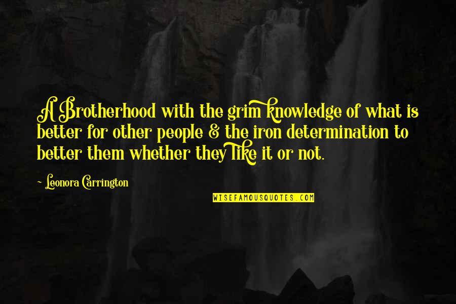 Knowledge'they Quotes By Leonora Carrington: A Brotherhood with the grim knowledge of what Knowledge'they Quotes By Leonora Carrington: A Brotherhood with the grim knowledge of what