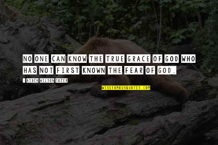 Knows No Fear Quotes By Aiden Wilson Tozer: No one can know the true grace of