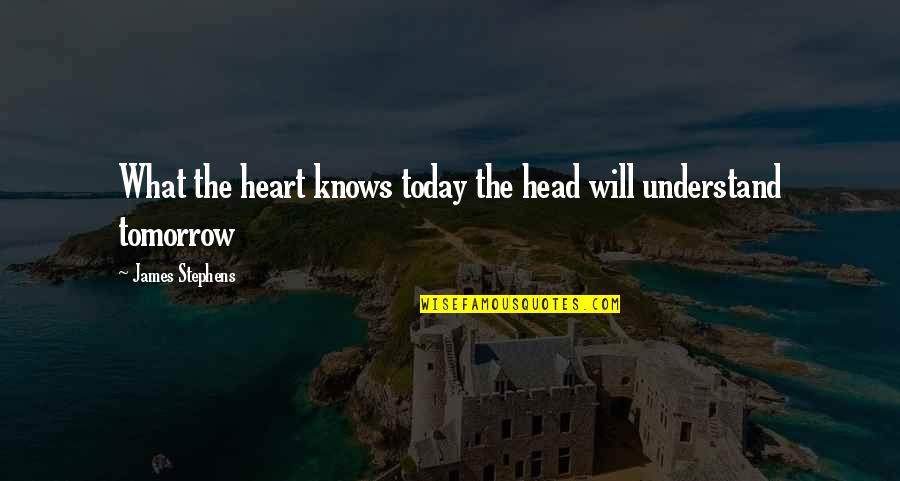Knows Tomorrow Quotes By James Stephens: What the heart knows today the head will