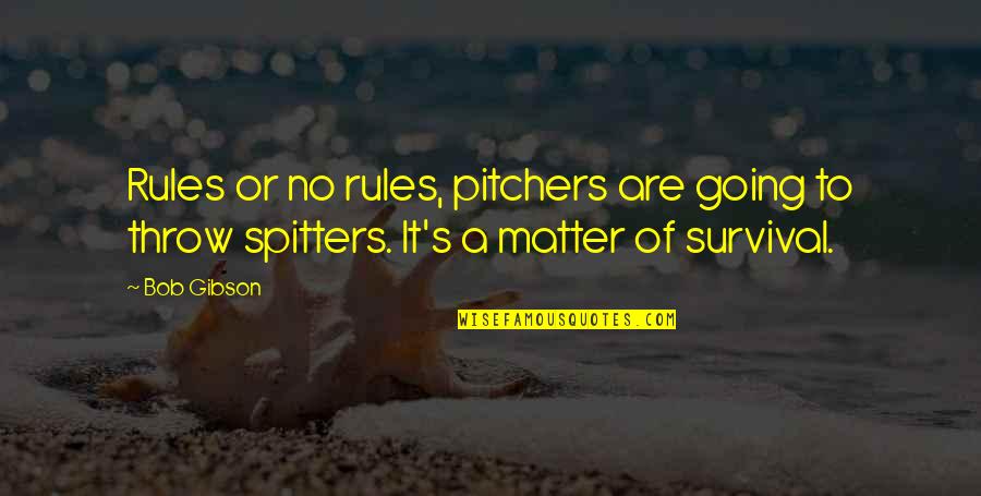 Knstella Quotes By Bob Gibson: Rules or no rules, pitchers are going to