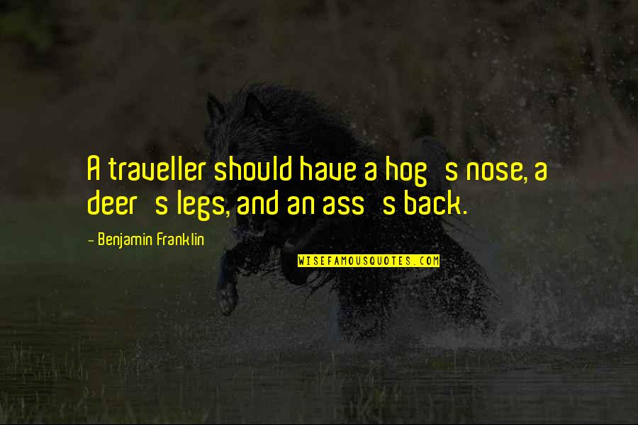 Knuckleball Grip Quotes By Benjamin Franklin: A traveller should have a hog's nose, a Knuckleball Grip Quotes By Benjamin Franklin: A traveller should have a hog's nose, a