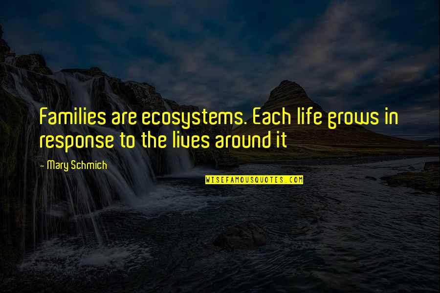 Knuckleduster Quotes By Mary Schmich: Families are ecosystems. Each life grows in response
