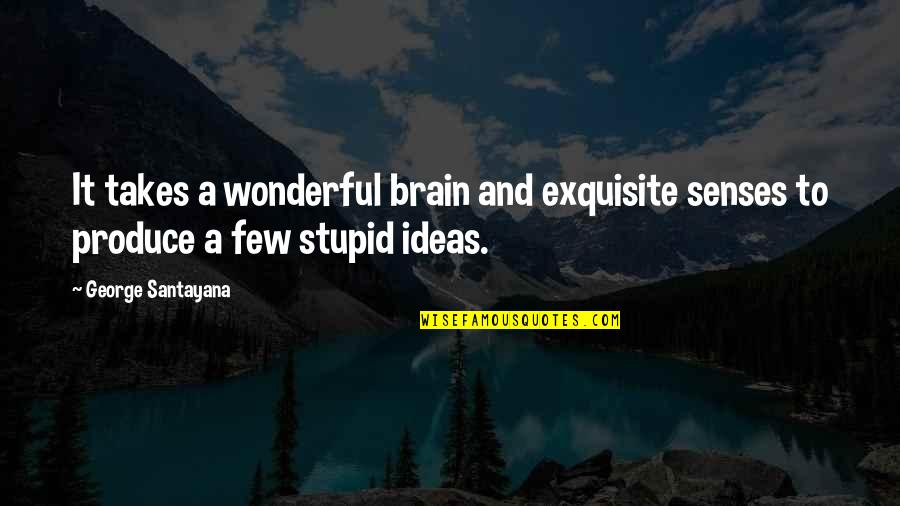 Ko Hung Quotes By George Santayana: It takes a wonderful brain and exquisite senses