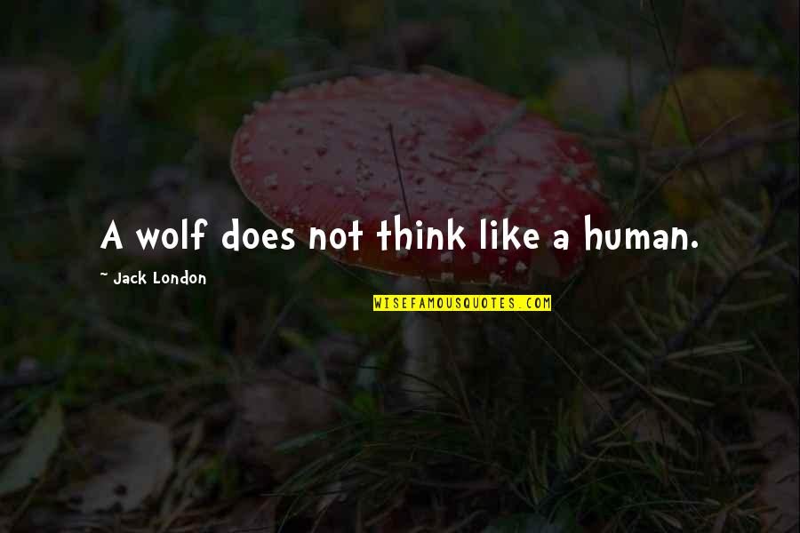 Kobilice Za Quotes By Jack London: A wolf does not think like a human.