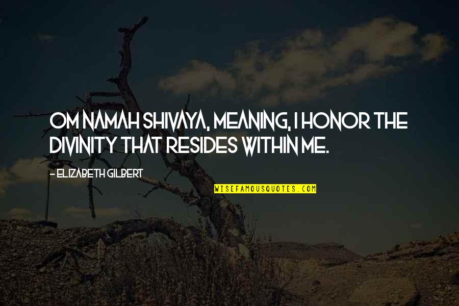 Kobilka Hmyz Quotes By Elizabeth Gilbert: Om Namah Shivaya, meaning, I honor the divinity