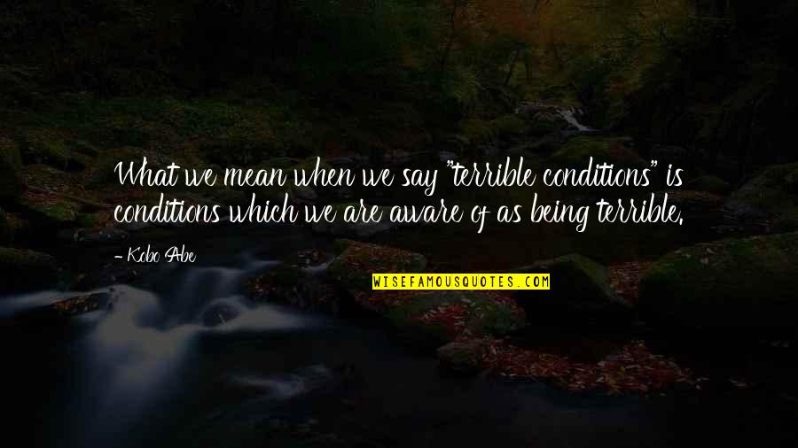 Kobo Abe Quotes By Kobo Abe: What we mean when we say "terrible conditions"