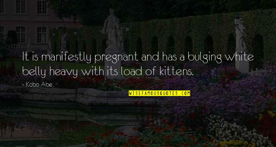 Kobo Quotes By Kobo Abe: It is manifestly pregnant and has a bulging