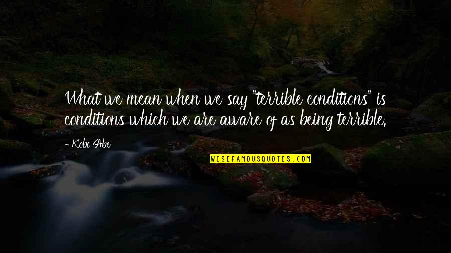 Kobo Quotes By Kobo Abe: What we mean when we say "terrible conditions"